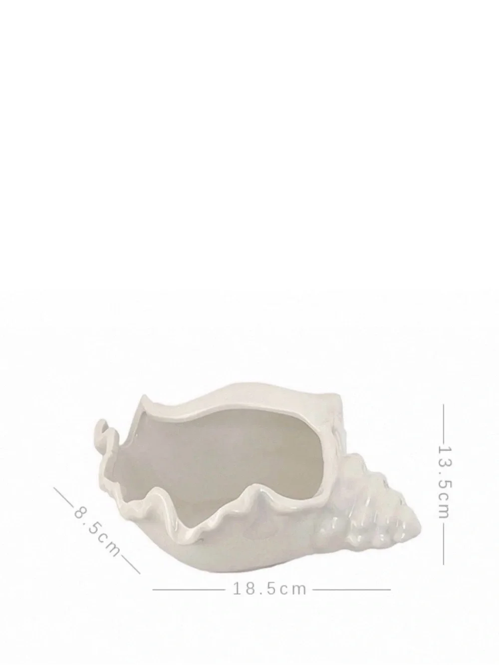 White Ceramic Shell Jewelry Tray
